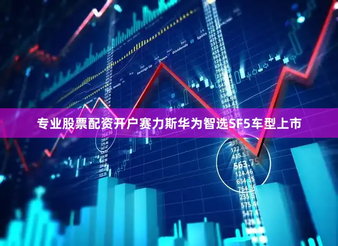 专业股票配资开户赛力斯华为智选SF5车型上市
