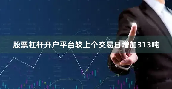 股票杠杆开户平台较上个交易日增加313吨